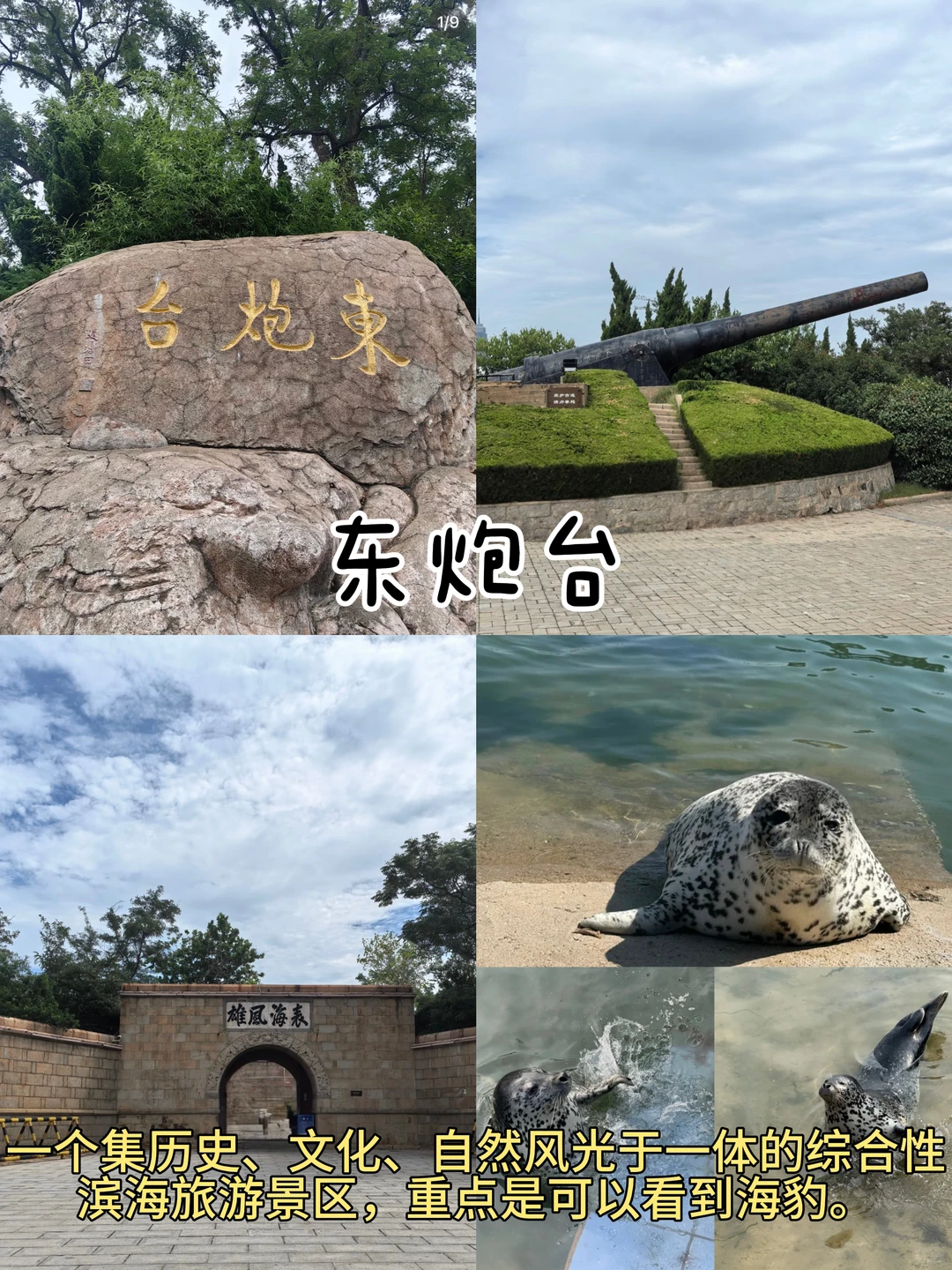 烟台📍两天一夜| 不废腿版保姆级逛吃攻略