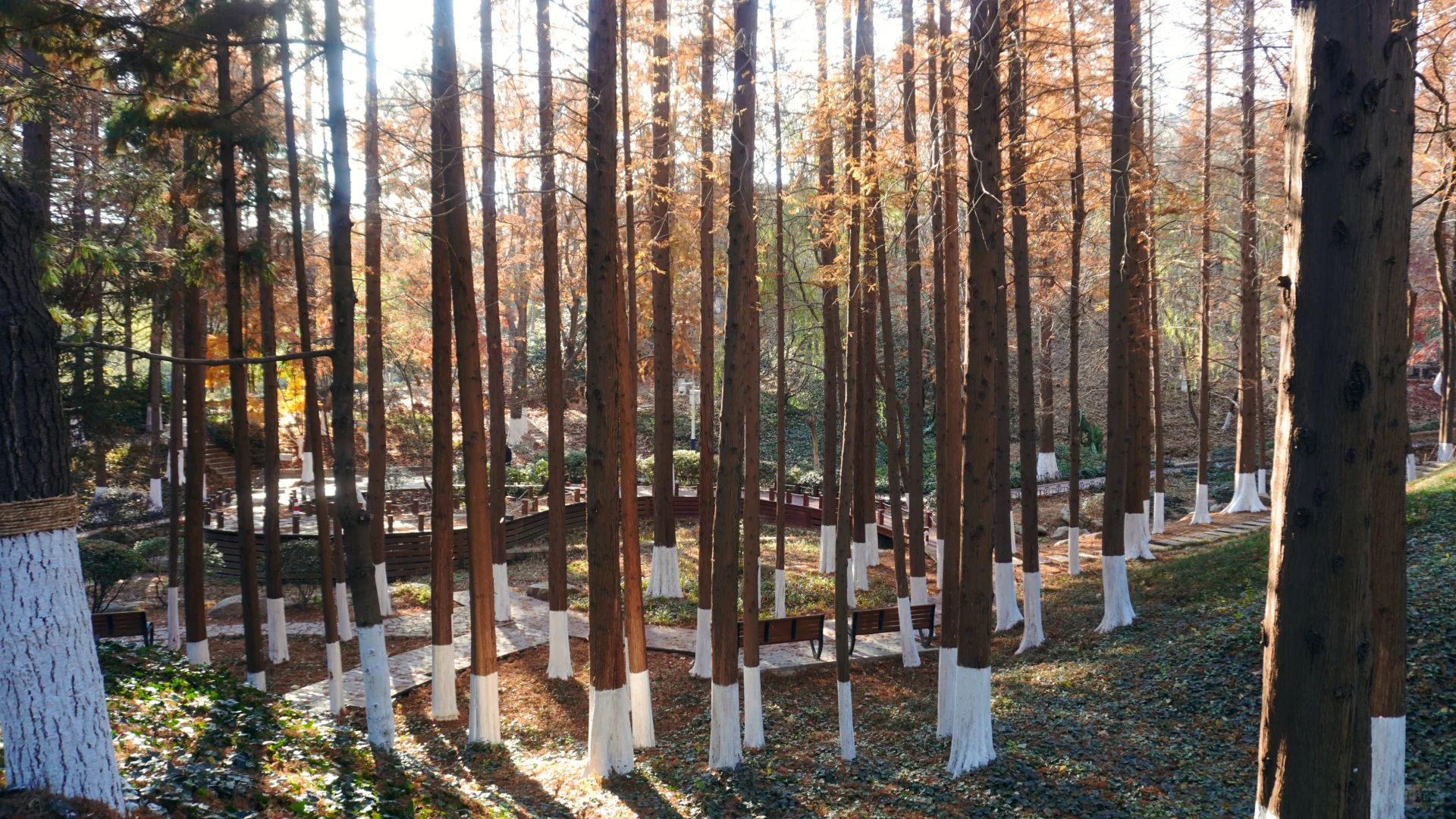 青岛旅游✍攻略/1000💰一人4天三晚