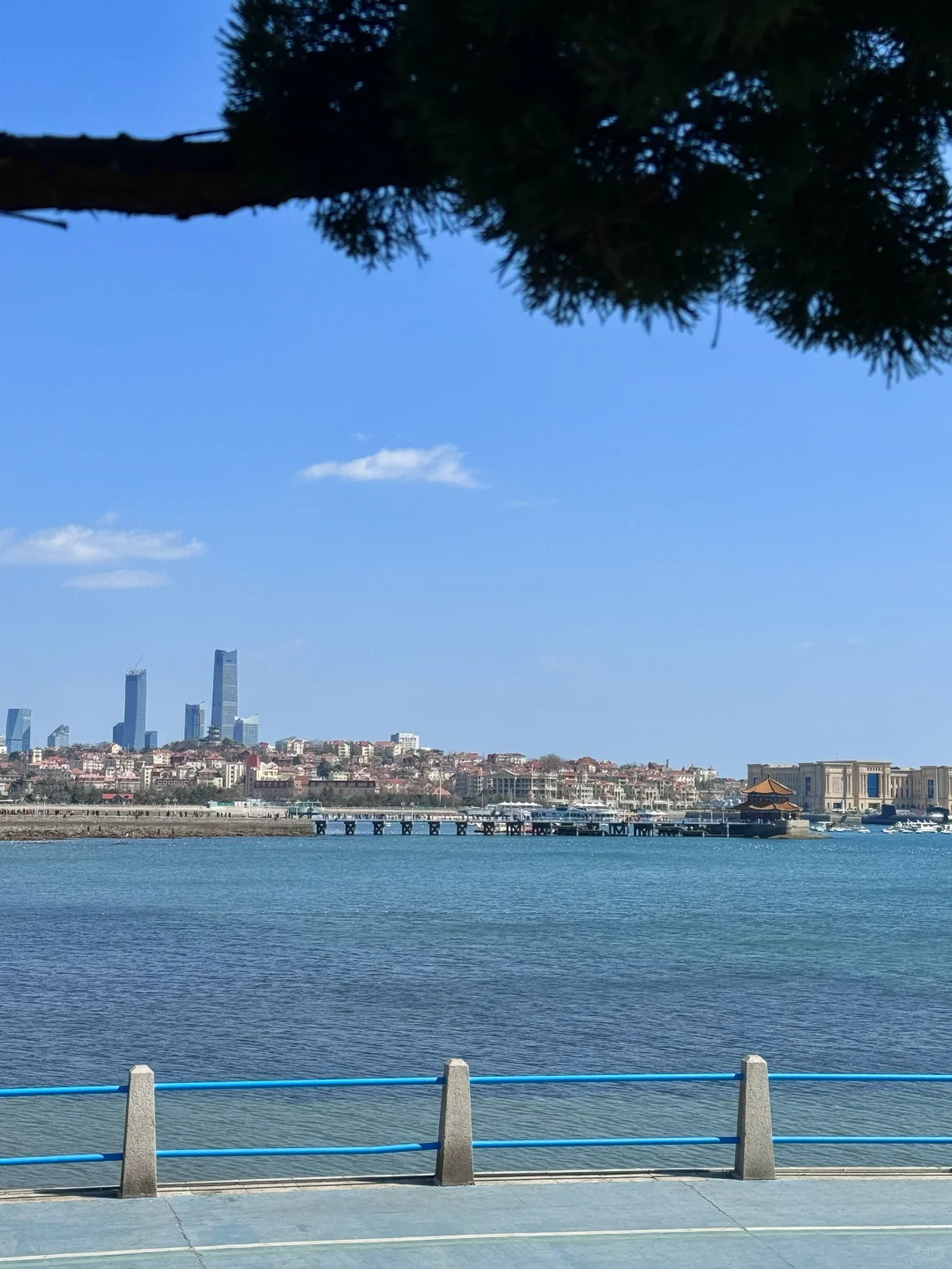 12.5青岛实况！海边已经是next level