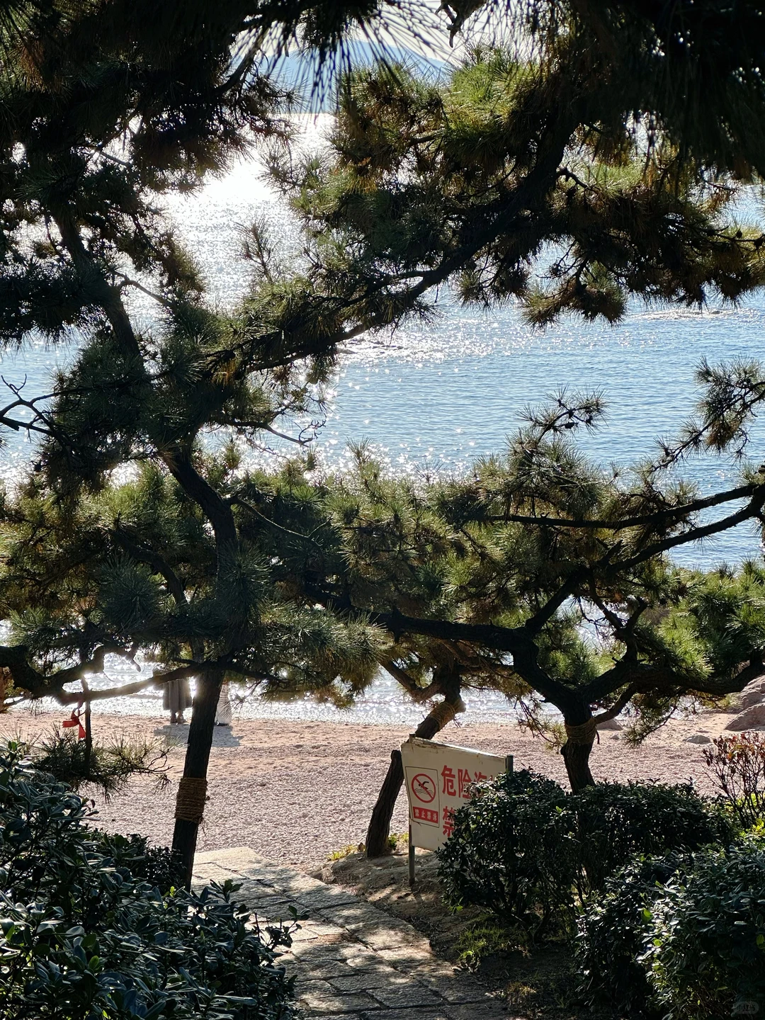 12.3 青岛风很大 海很蓝