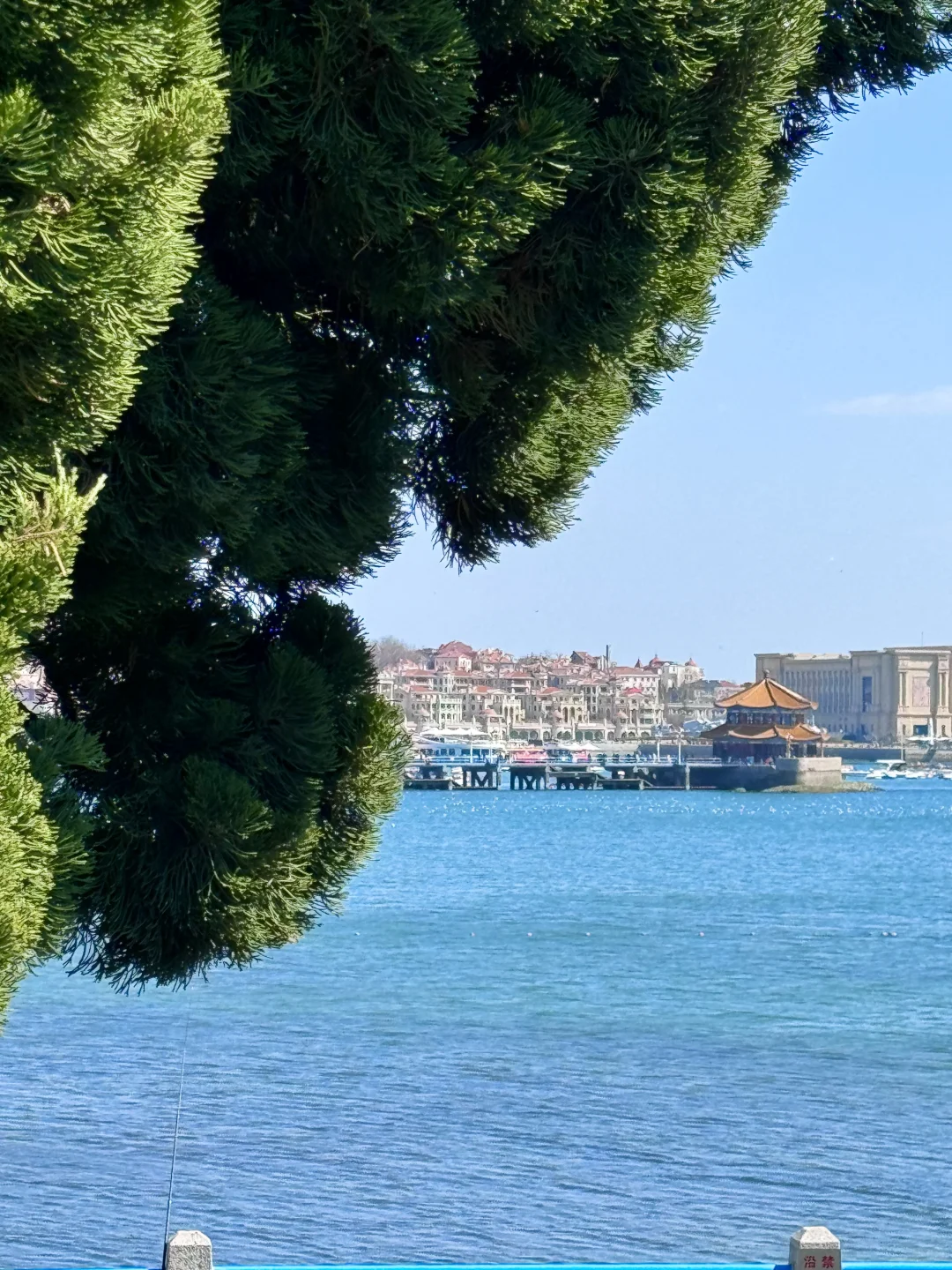 12.5青岛实况！海边已经是next level