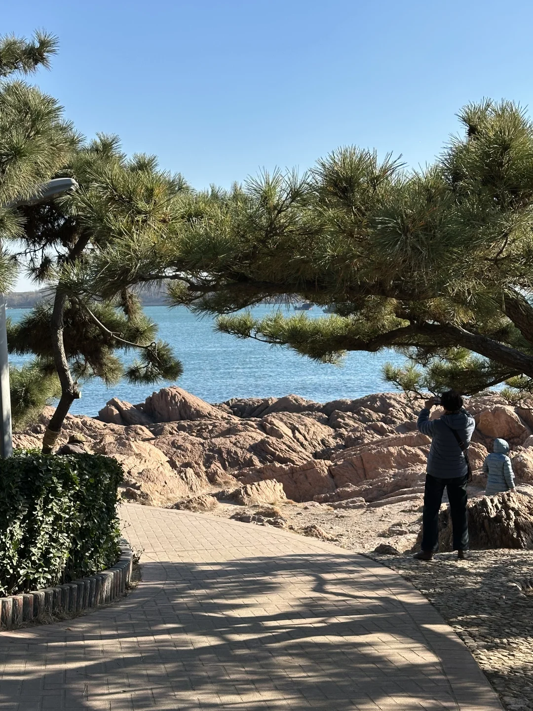 12.3 青岛风很大 海很蓝