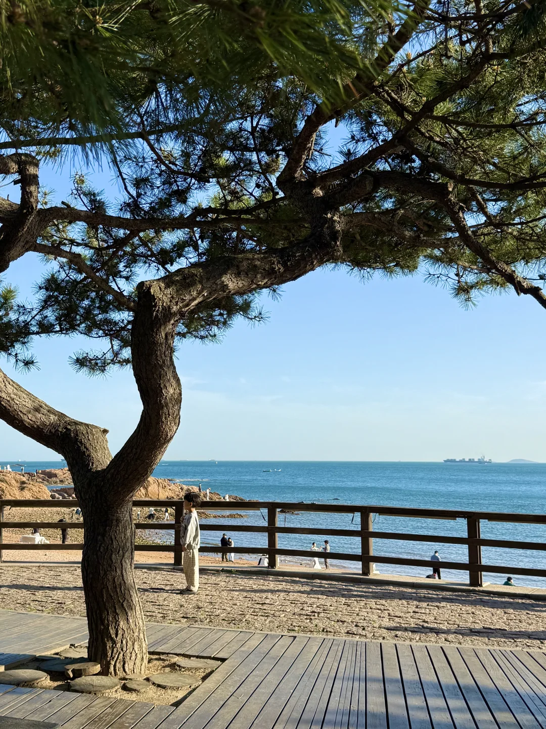 青岛12.5实况！！淡季的青岛太美啦啊啊啊！！！