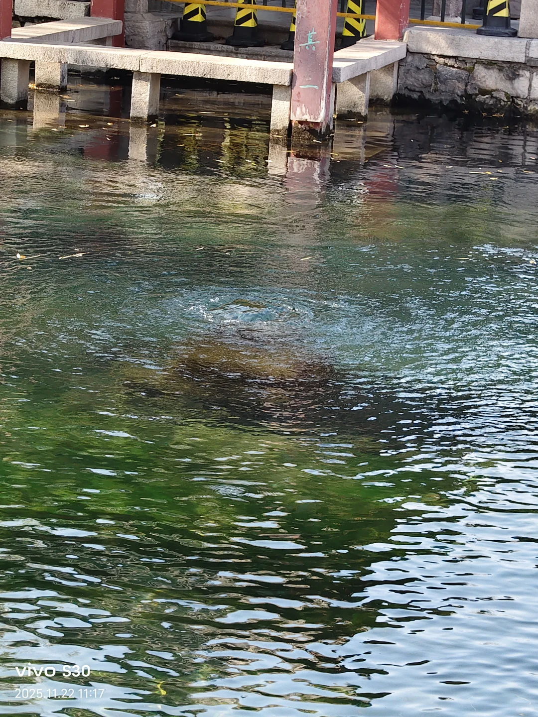 “济南的冬天是响晴的”