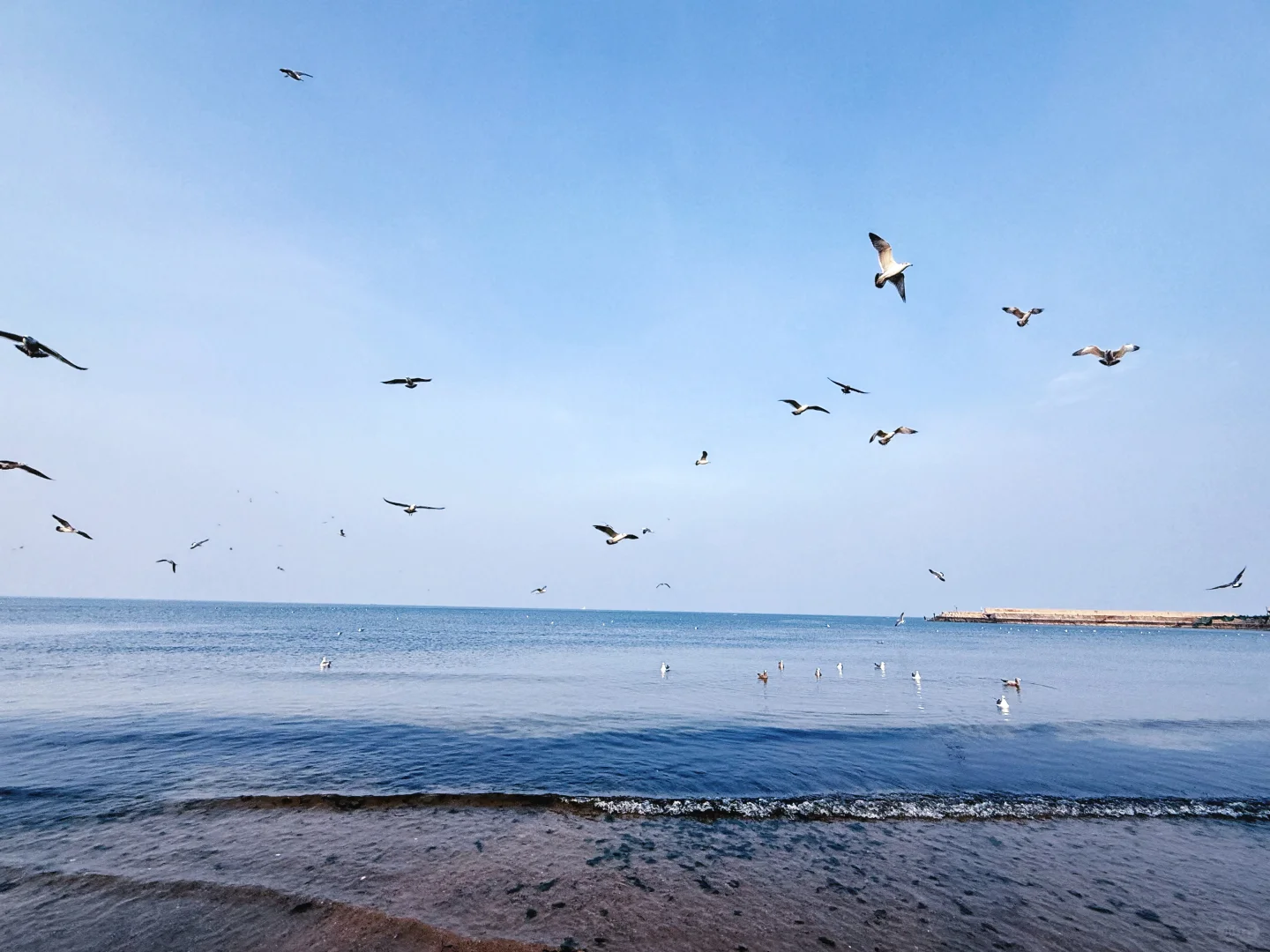 淡季的烟台｜北纬37度的人间理想（附机位）