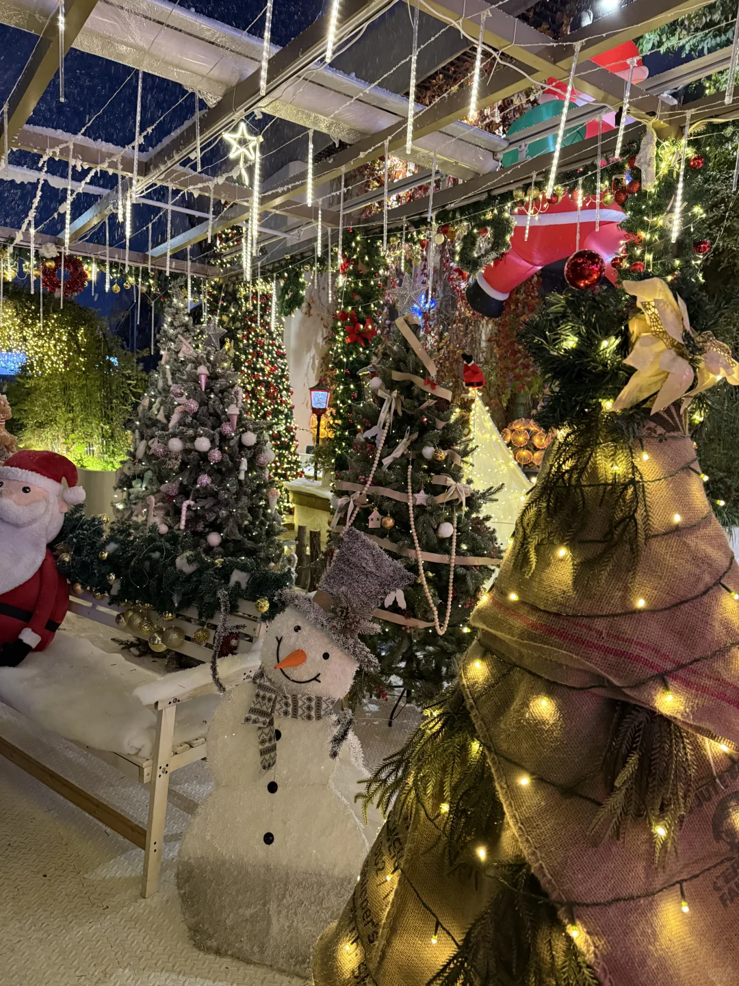 实况❕济南！！ 圣诞森林飘雪❄️太浪漫了🫎🎄🌟