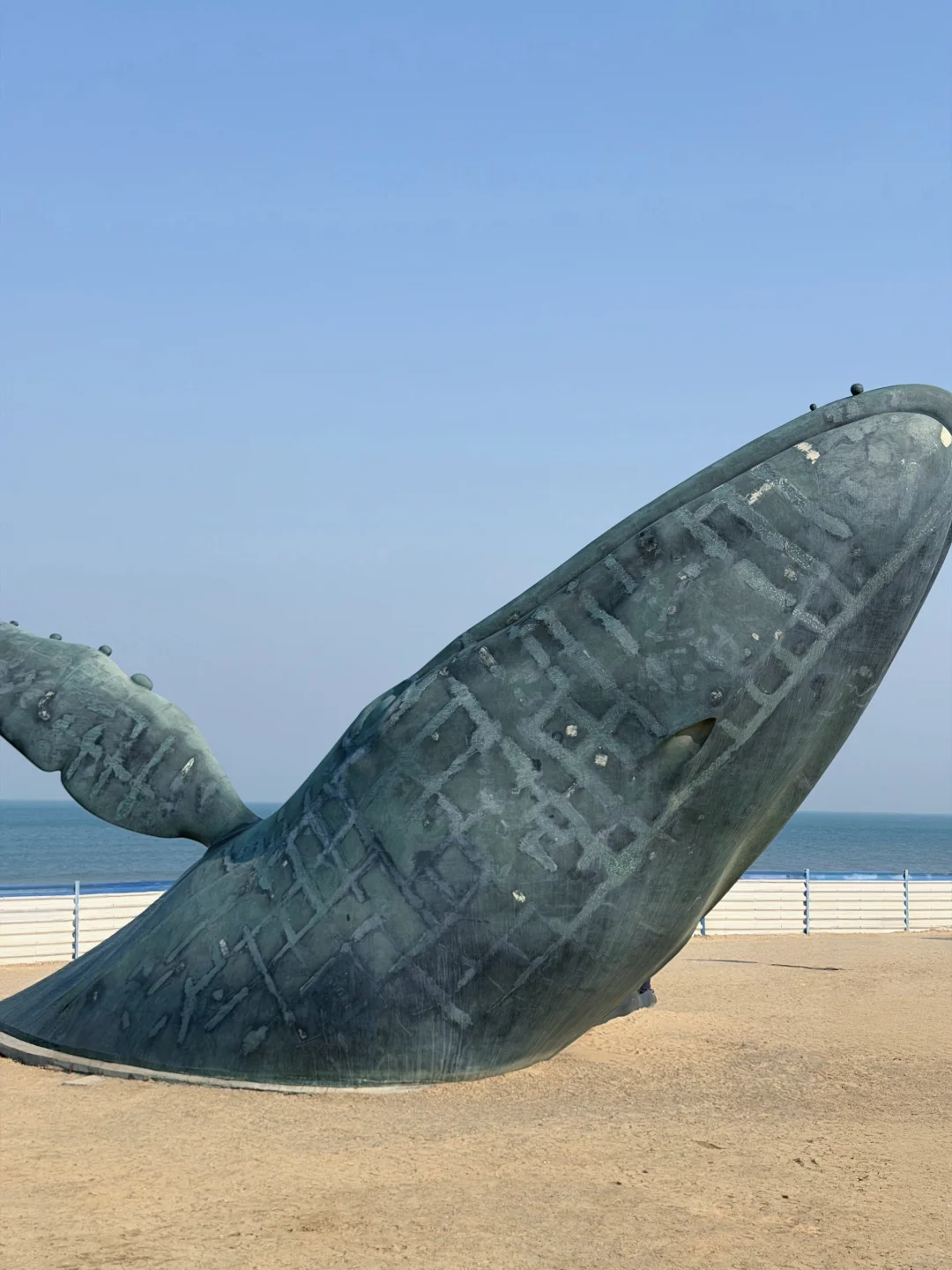 属于烟台的蓝调时刻