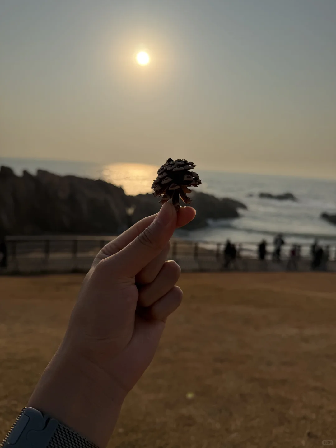 青岛今天这个阳光有点暖