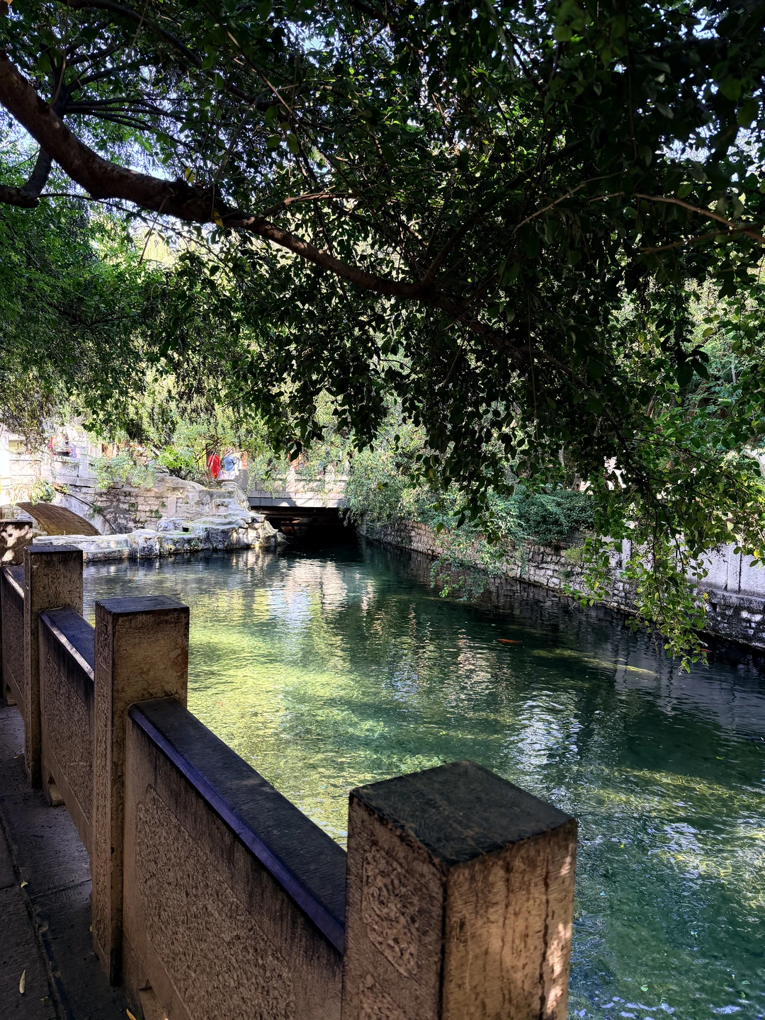 济南的水实在惊人