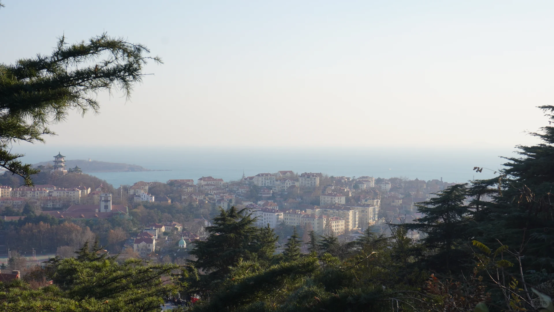 青岛旅游✍攻略/1000💰一人4天三晚