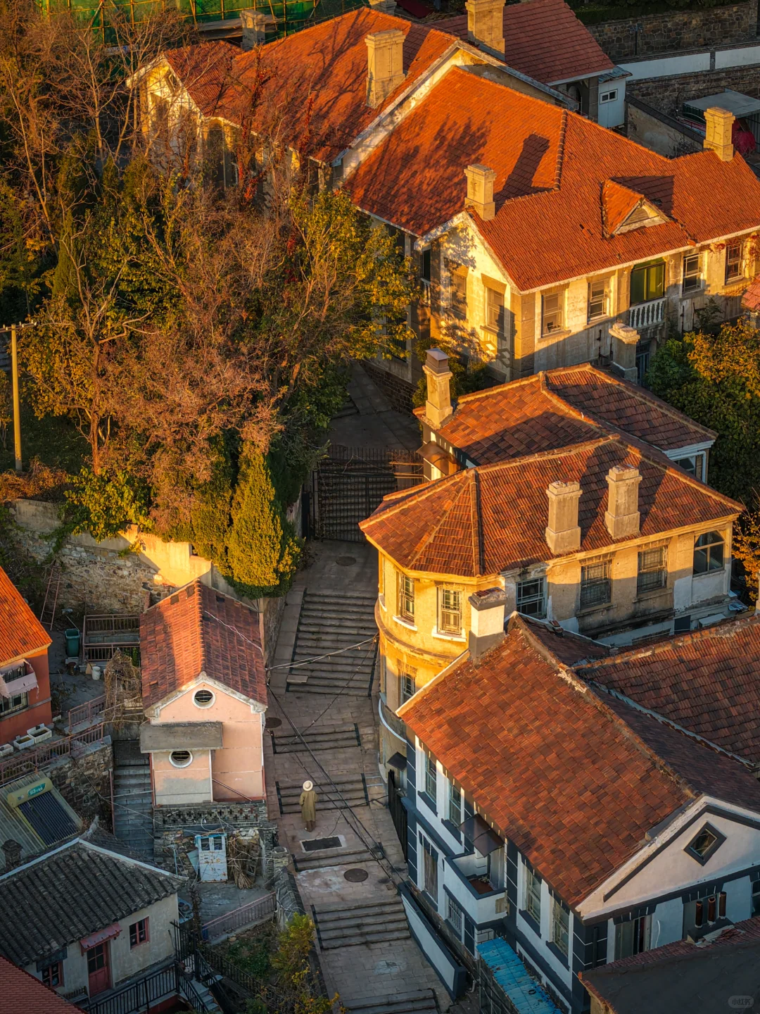 为了这18张图，我专门飞了一趟烟台❗️❗️