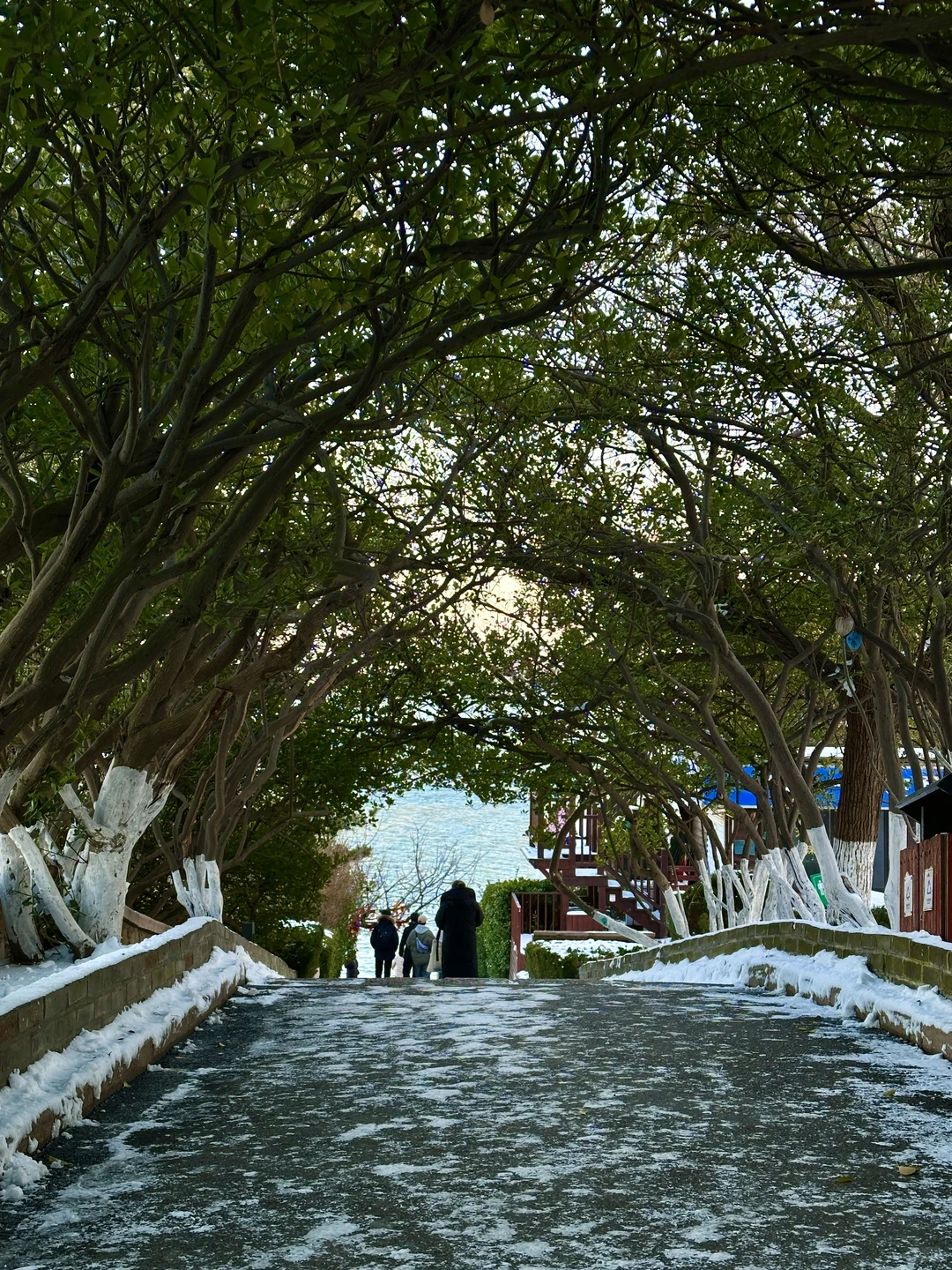 我想我会反复爱上烟台的冬天。。。。。