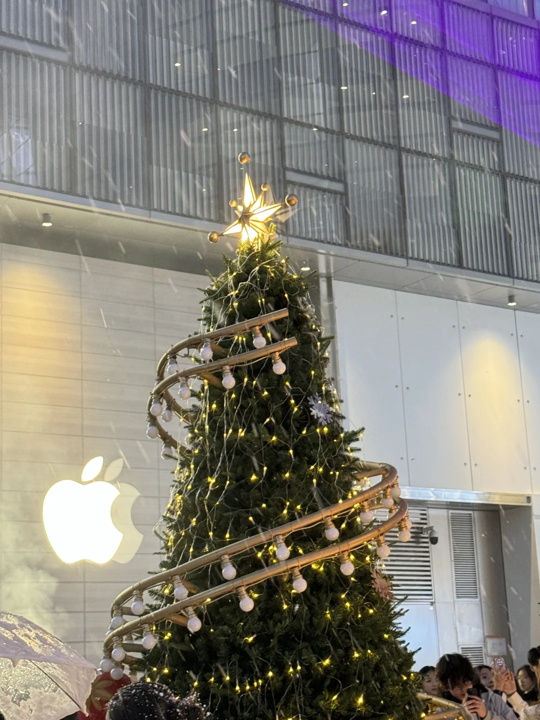 恒隆广场｜🎄圣诞氛围1️⃣0️⃣0️⃣%