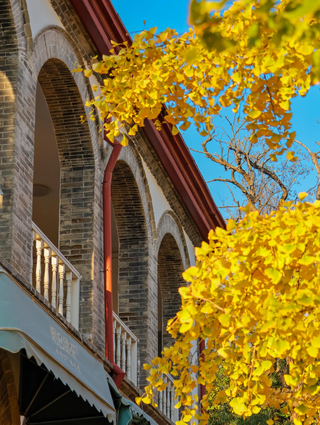 为了这18张图，我专门飞了一趟烟台❗️❗️