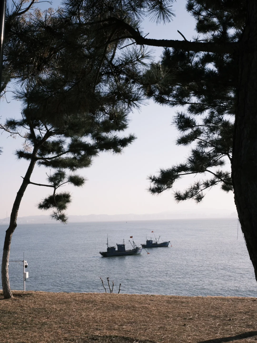 跨年攻略｜青岛出发威海2天人均💰800