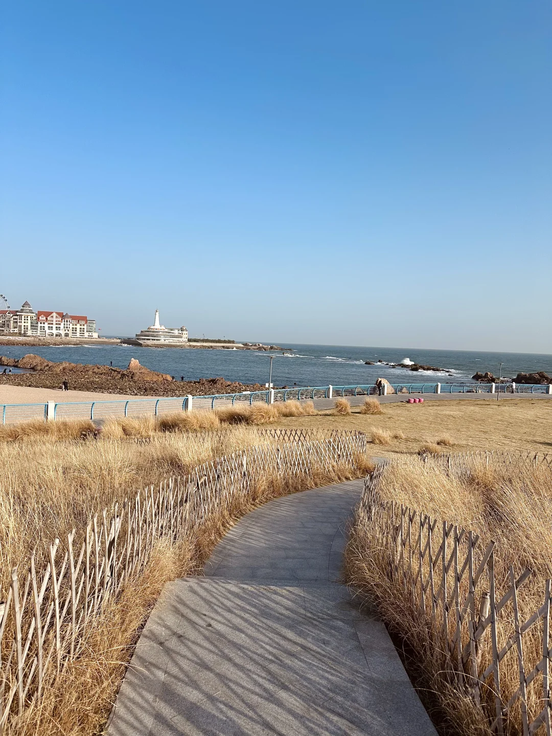 12.2Live实况，淡季的青岛是人间理想…🐚🌊