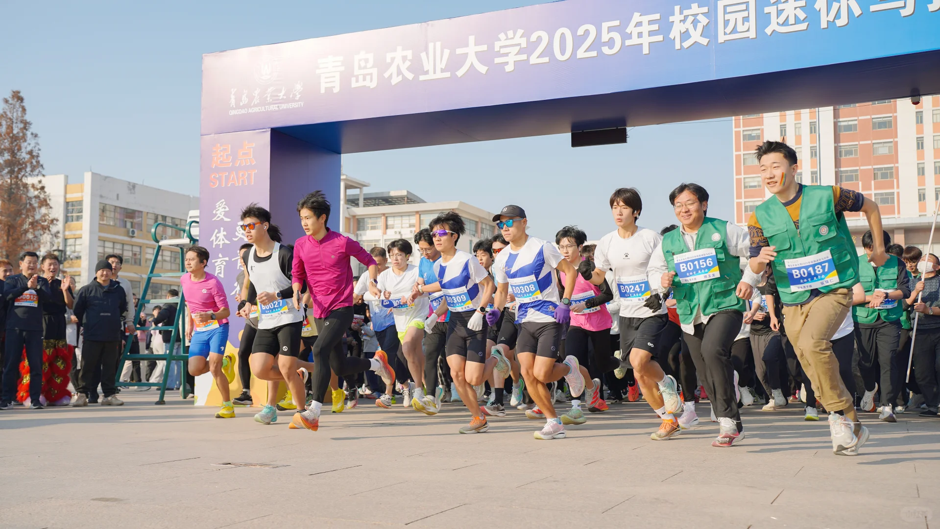 ✨青岛农大2025校园迷你马拉松鸣枪开跑！