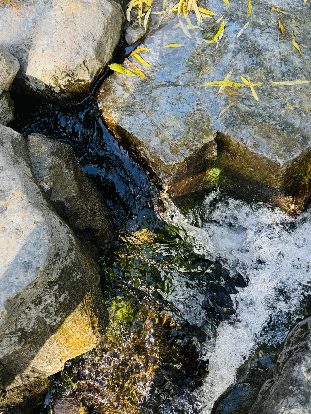 旅行｜冬天请一定来一趟济南听泉