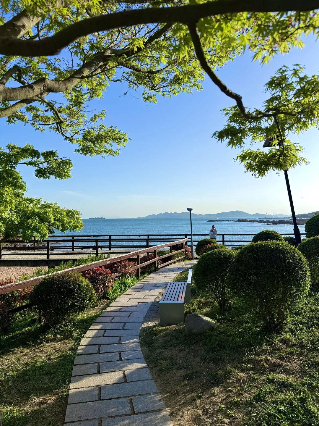 青岛12.5实况！！淡季的青岛太美啦啊啊啊！！！