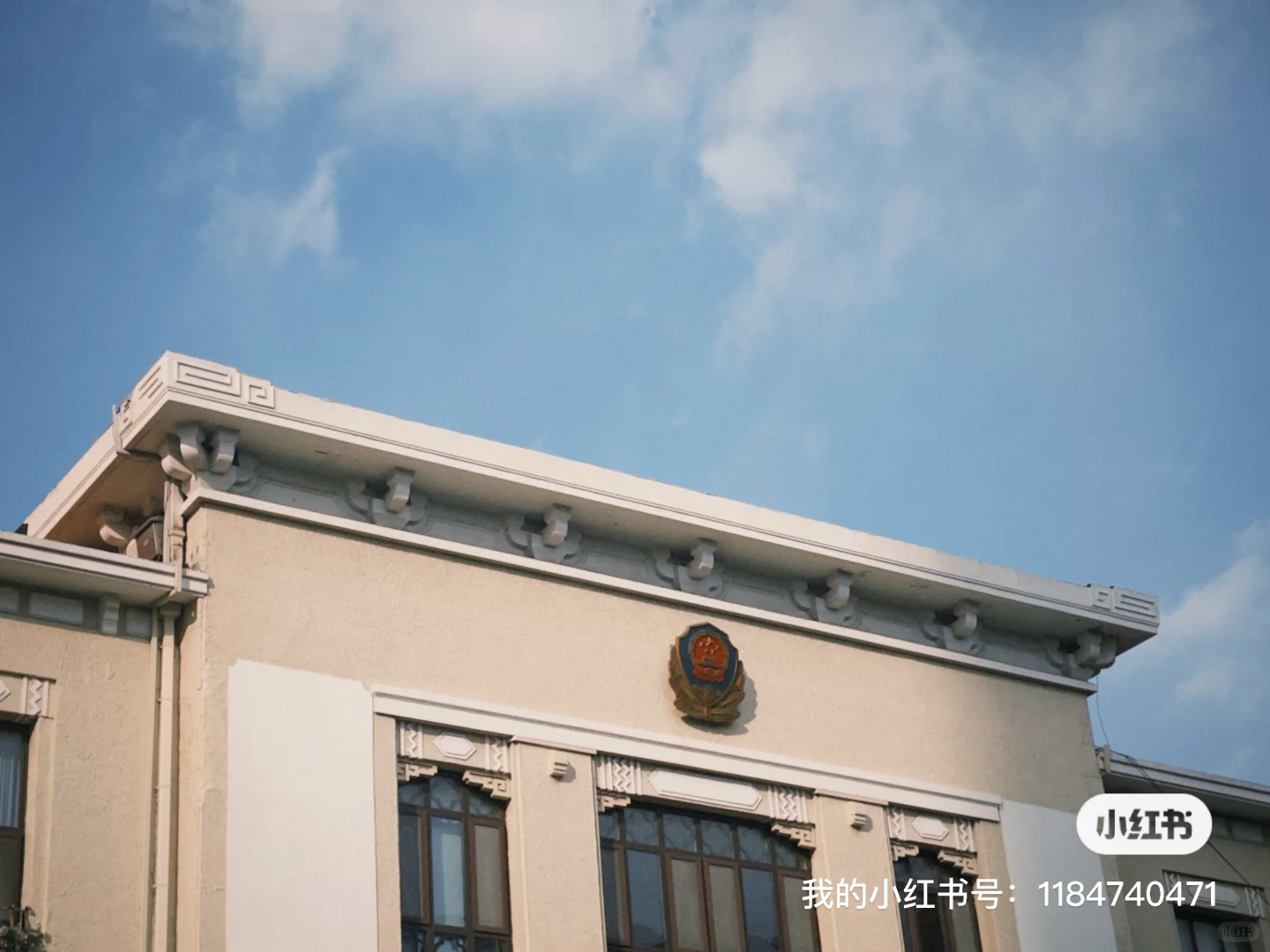 青岛男博士脱单自救