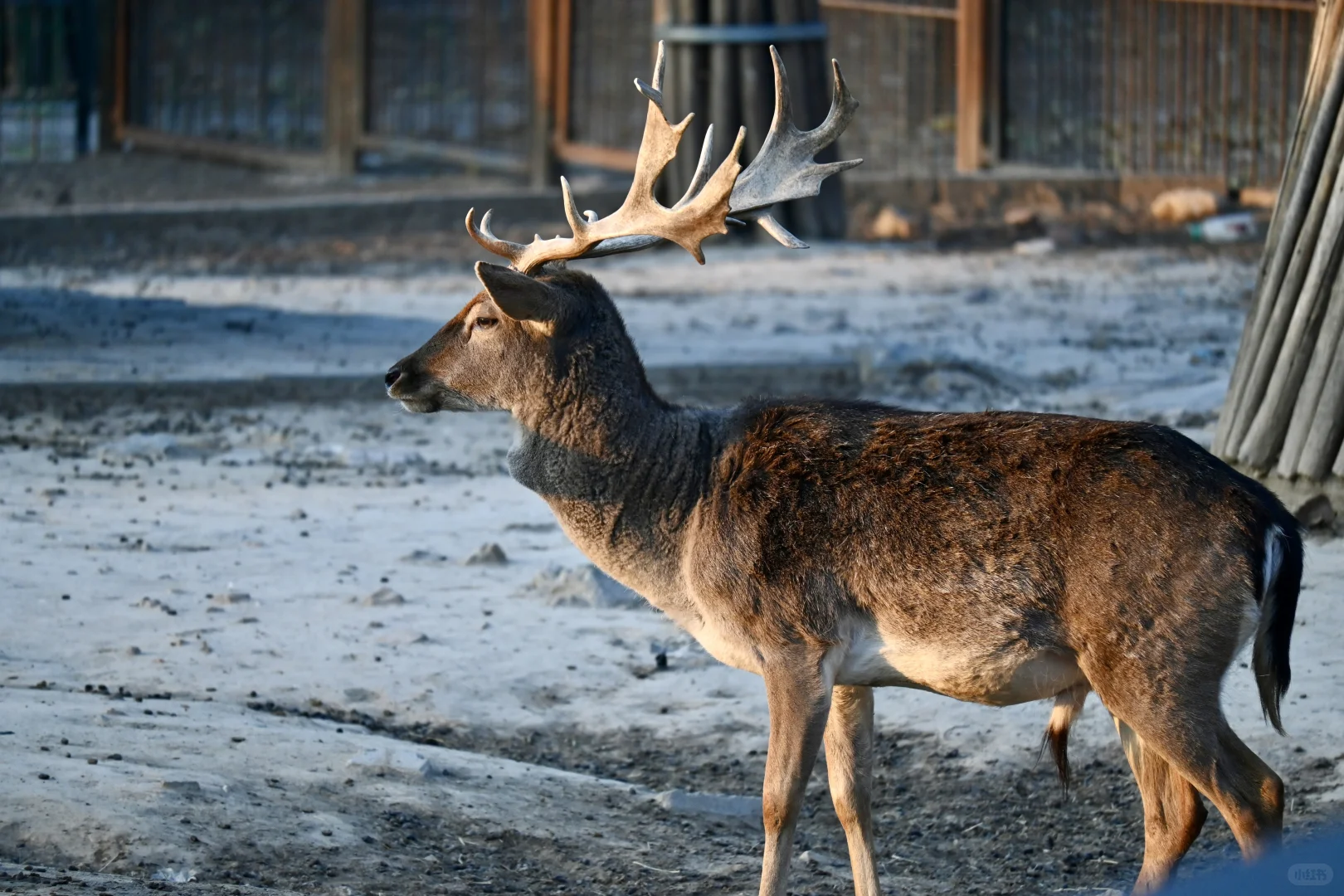 济南好去处07：济南动物园