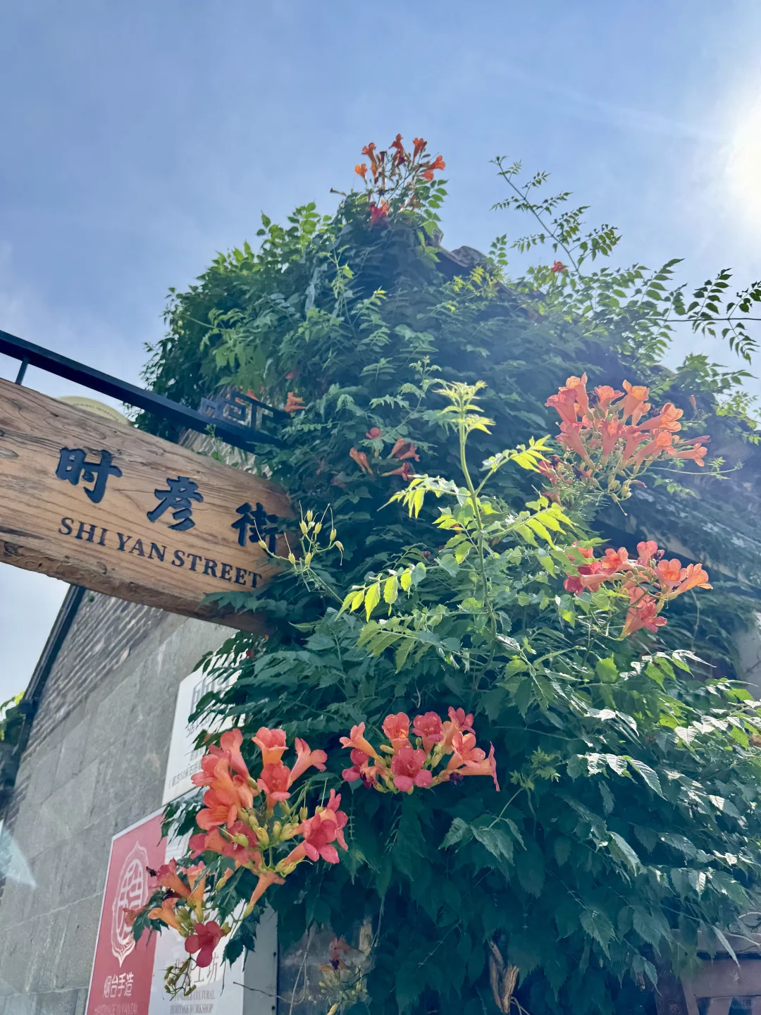 烟台所城里，在繁华闹市中遇见古朴秀美