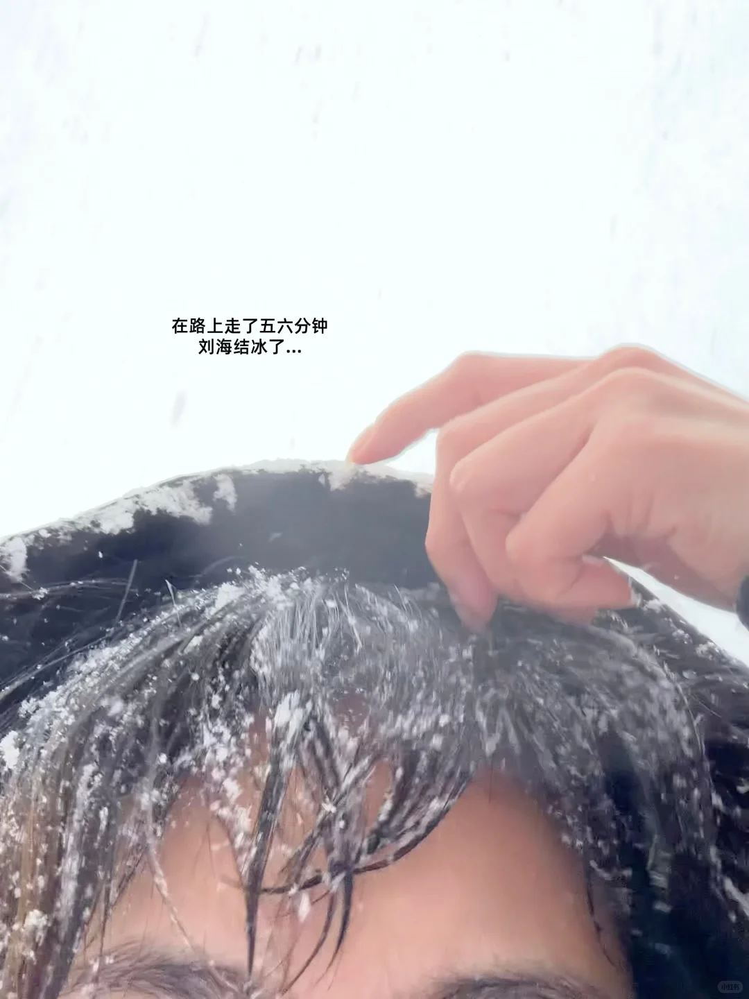 12.3 烟台 暴雪 海边❄️