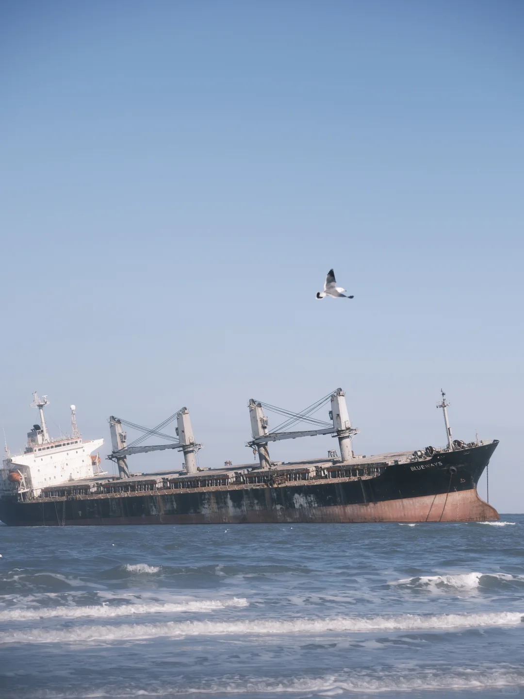 跨年攻略｜青岛出发威海2天人均💰800