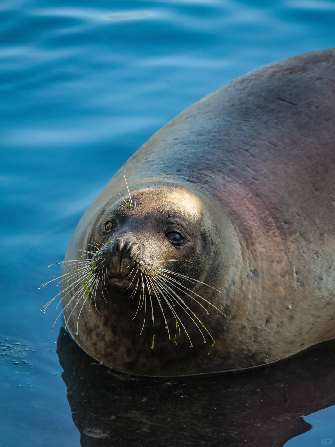 为了这18张图，我专门飞了一趟烟台❗️❗️