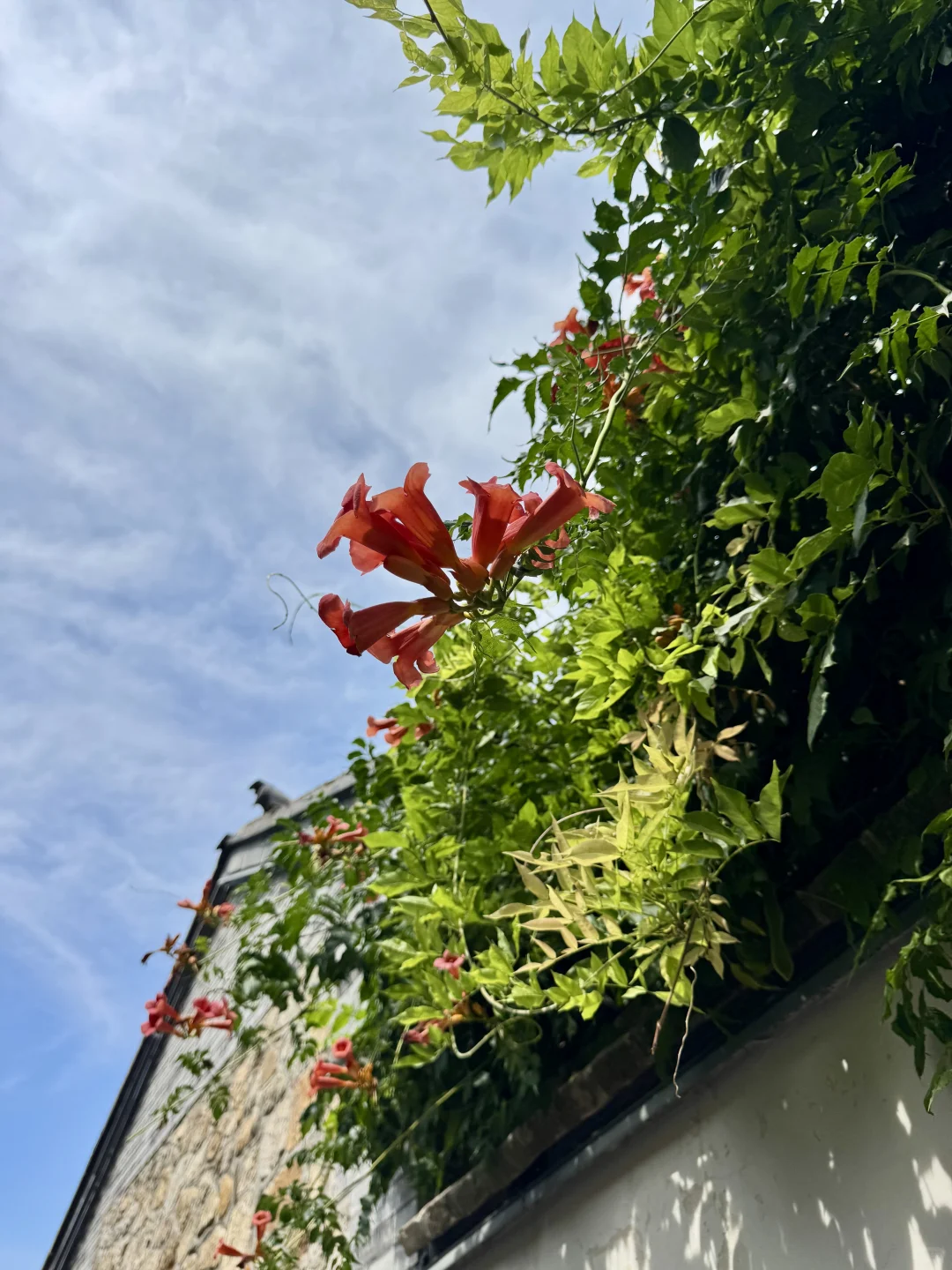 烟台所城里，在繁华闹市中遇见古朴秀美