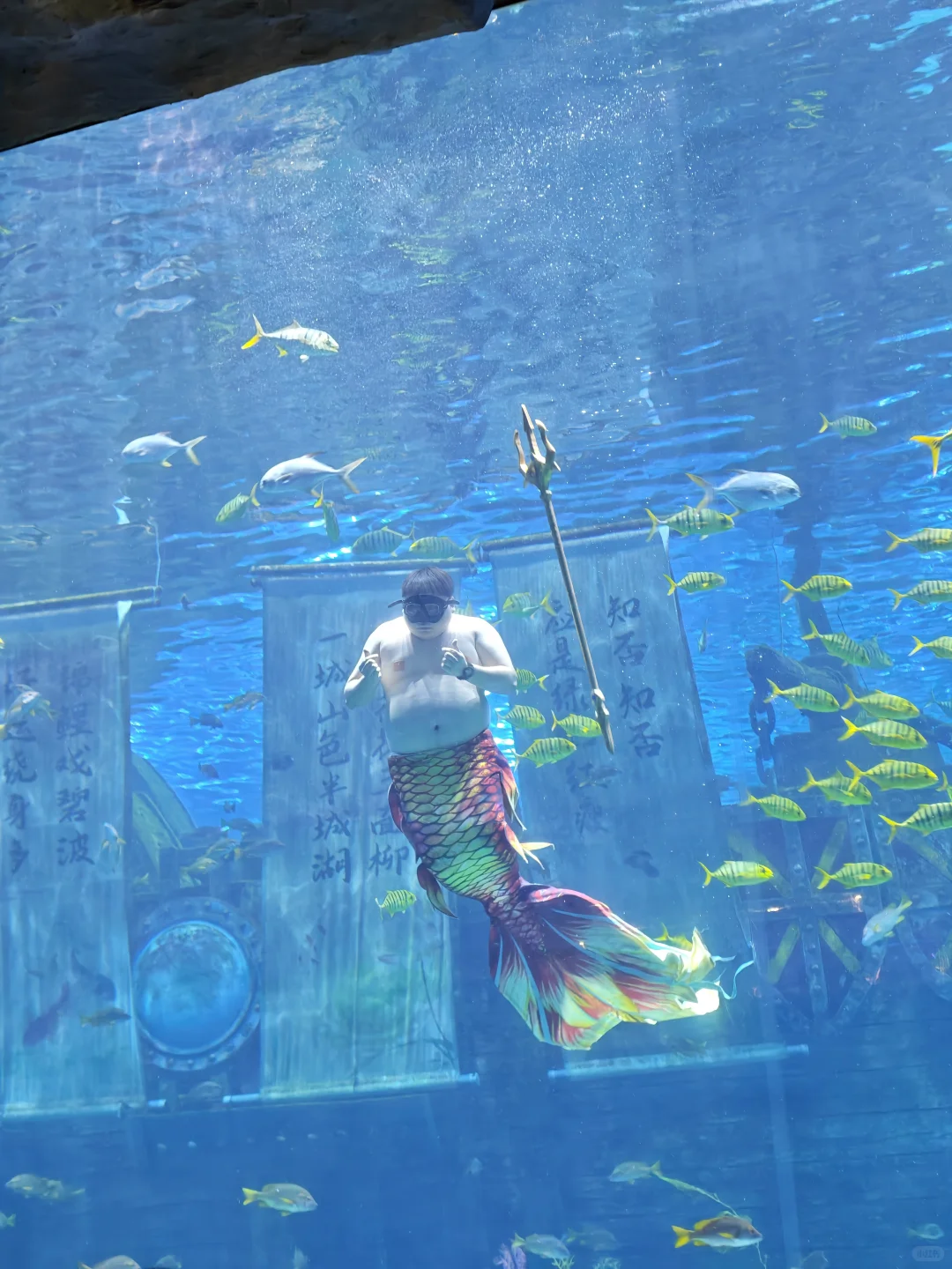 打卡济南融创海世界｜送你一场蓝色梦幻之旅