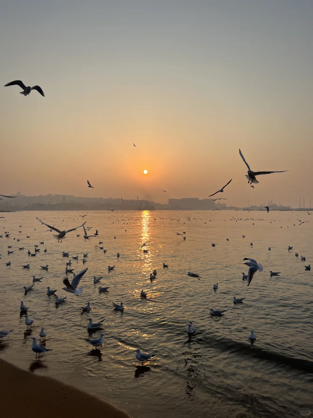 好想再去一次青岛