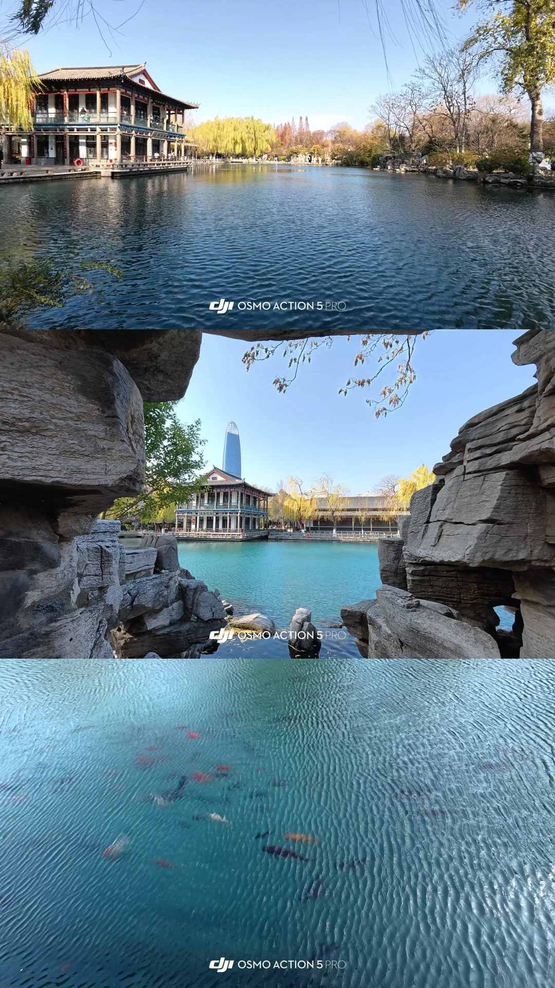 12.2济南 实况| 趵突泉+五龙潭+大明湖