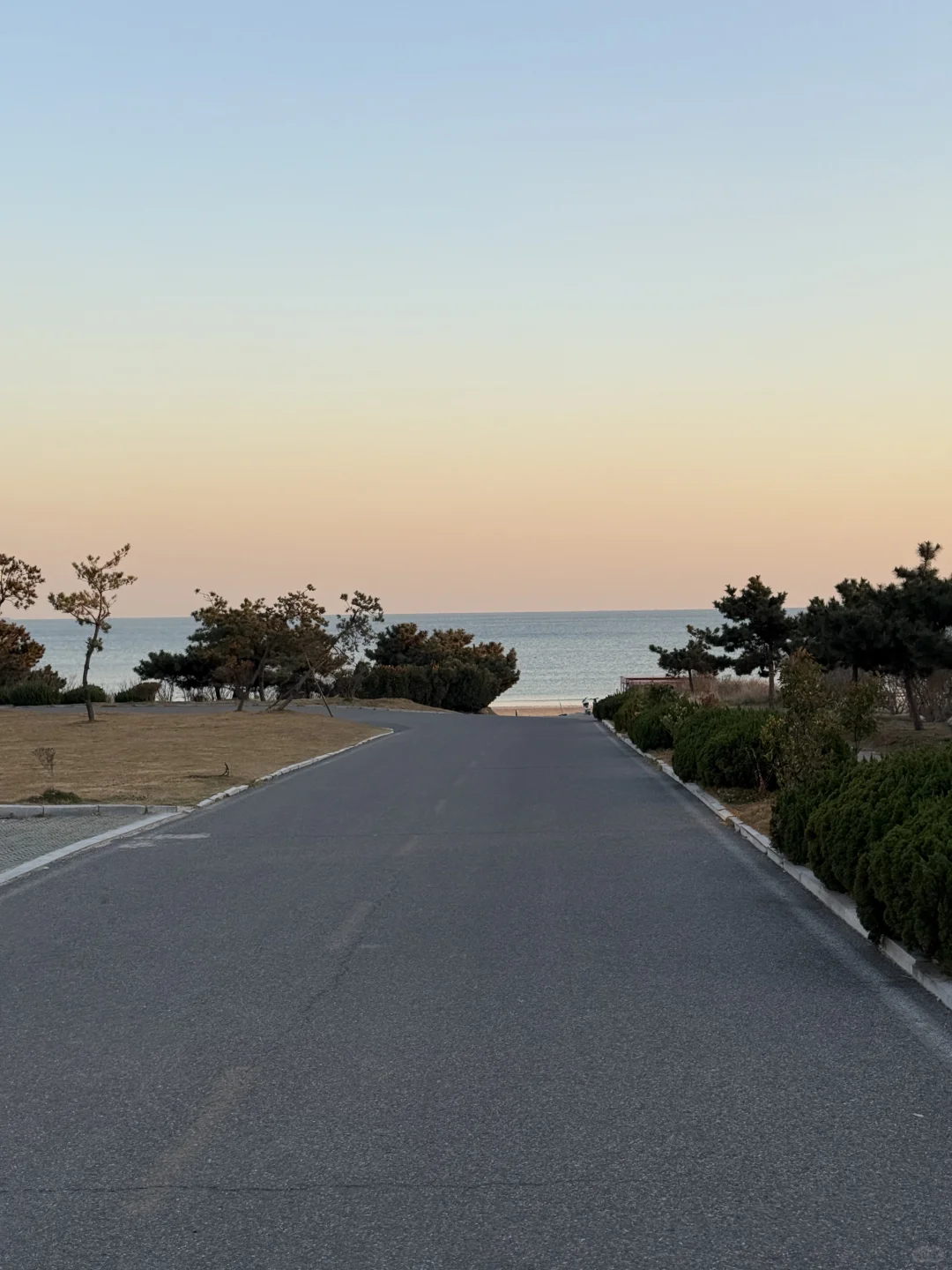 Live 实况，现在的青岛真的劝退不了一点…🌊