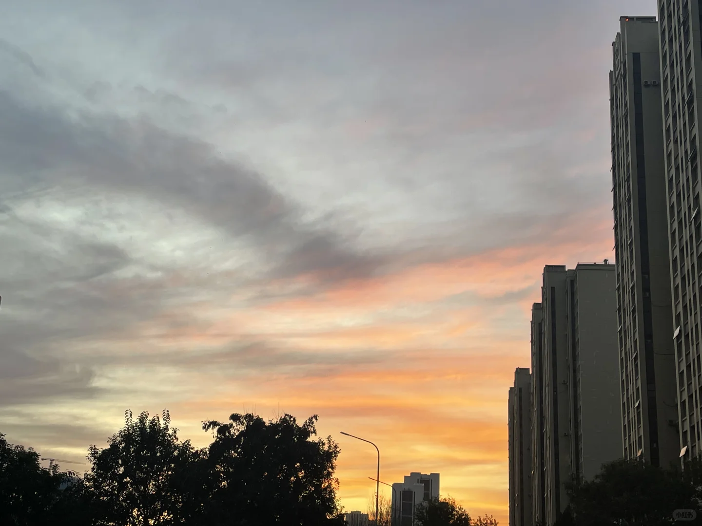 济南旅游搭子有没有～