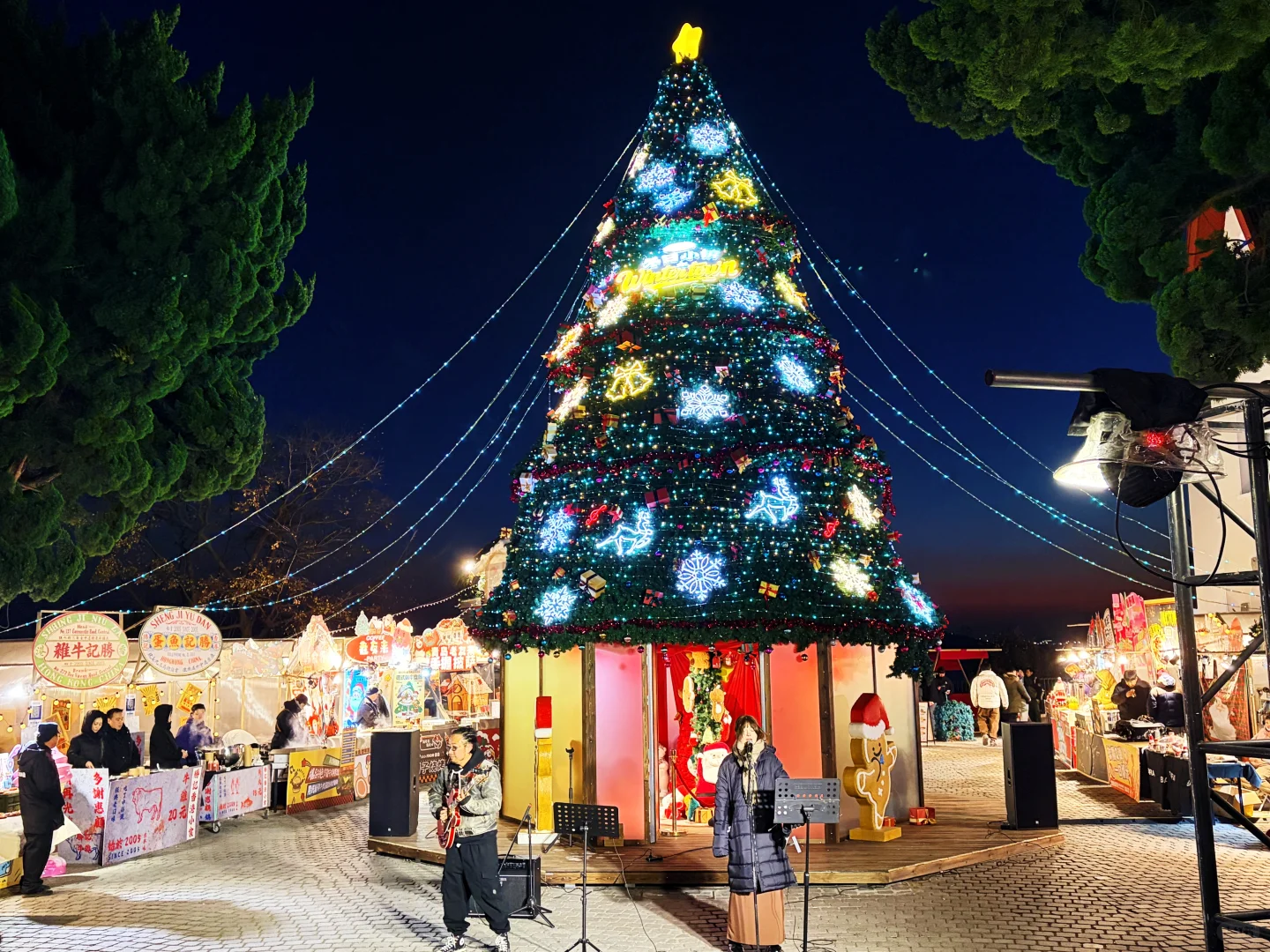 主打一个听劝❗冬日小镇圣诞树已升级🎄