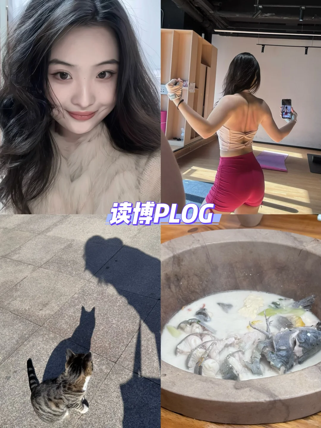 OUC读博plog｜青岛开启速冻模式