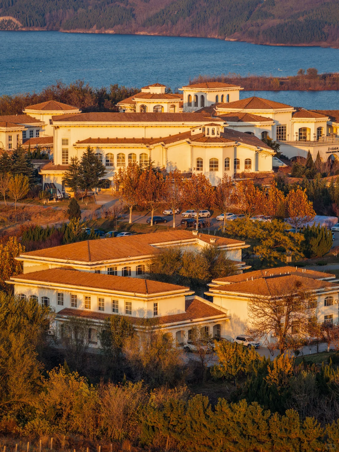 为了这18张图，我专门飞了一趟烟台❗️❗️