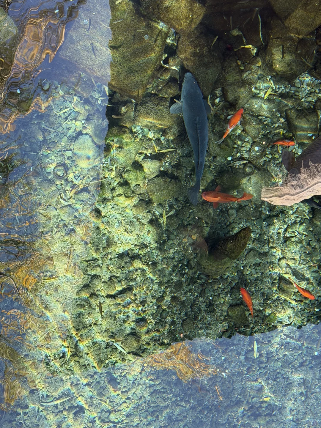 济南的水实在惊人