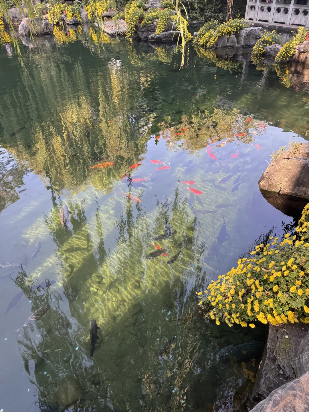 到底是济南还是江南