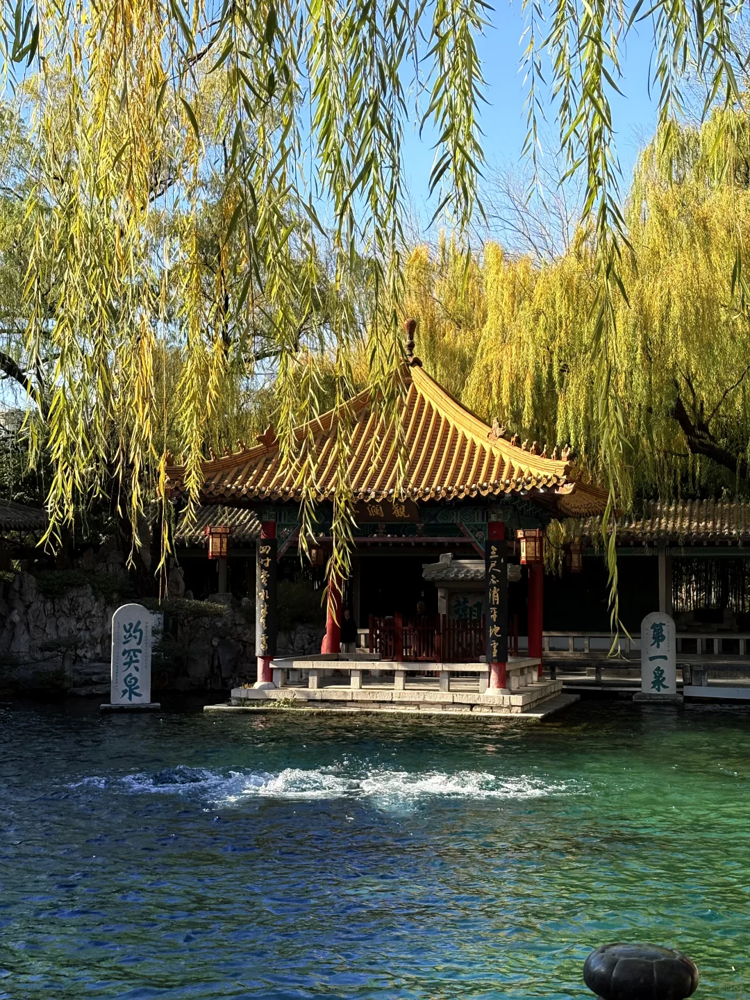 12.03 趵突泉实景实况☀️