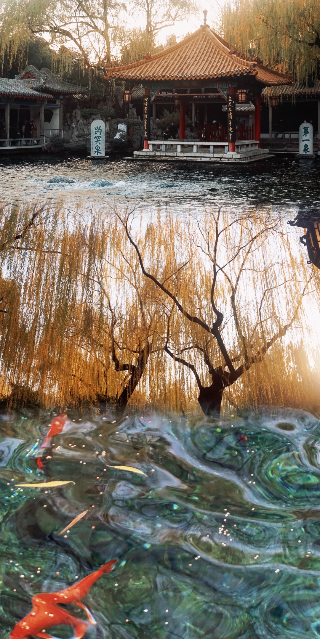 温晴的济南☀️