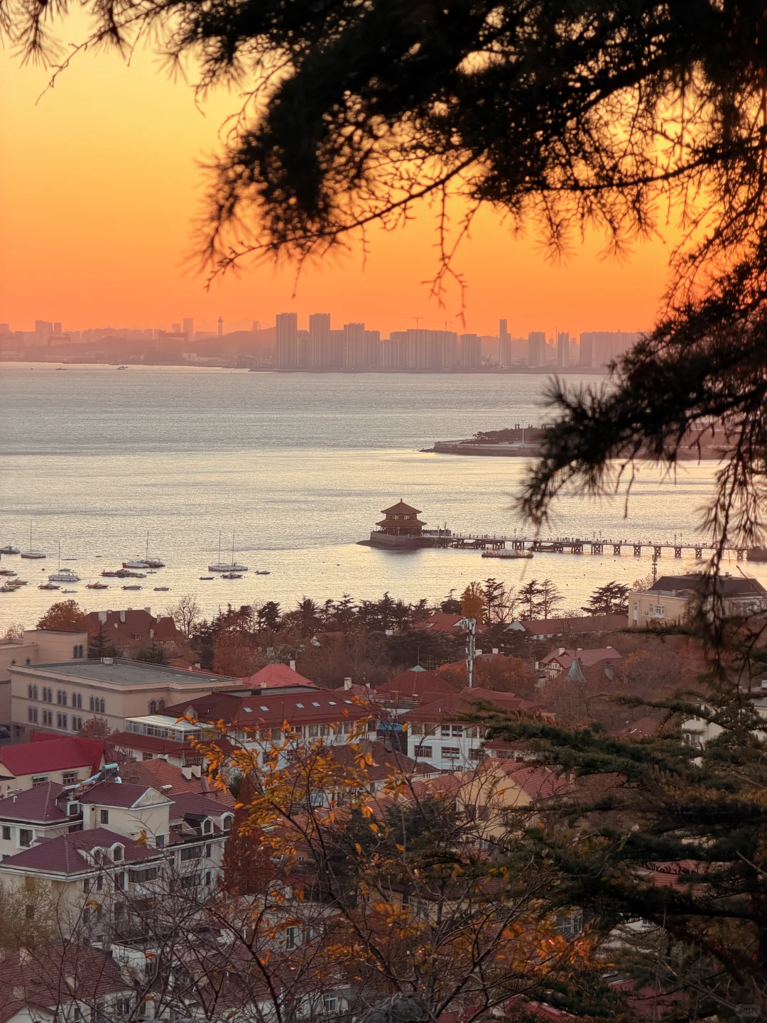 12.2Live实况，淡季的青岛是人间理想…🐚🌊