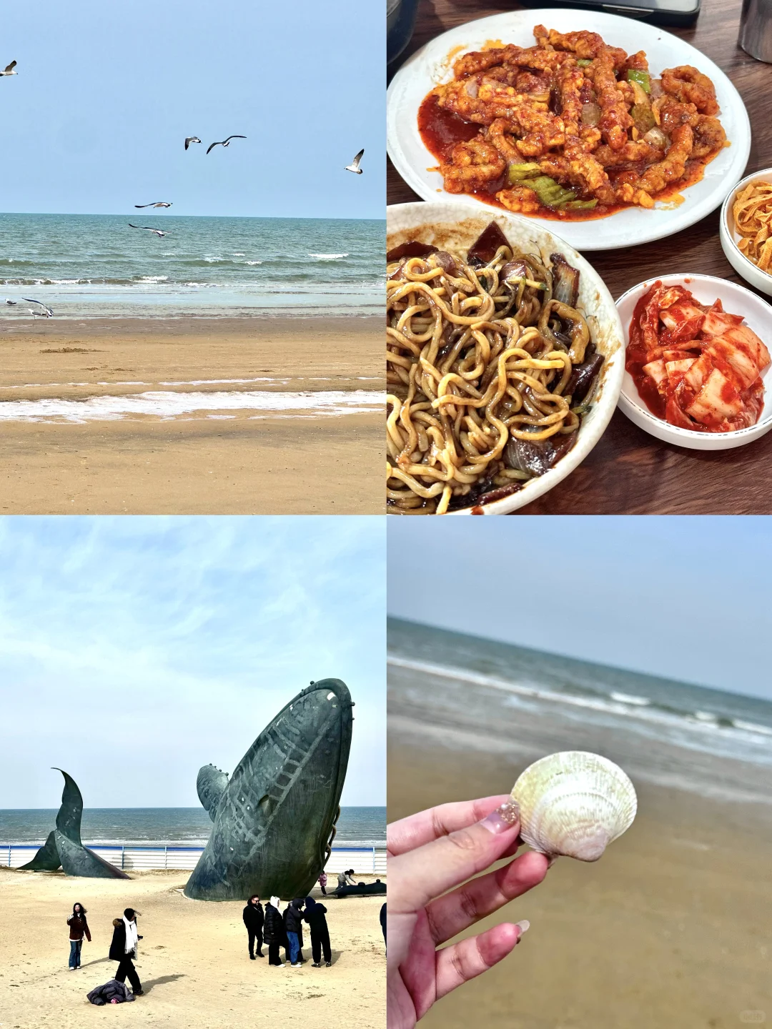 烟台｜淡季➕冬天的第一场雪❄️