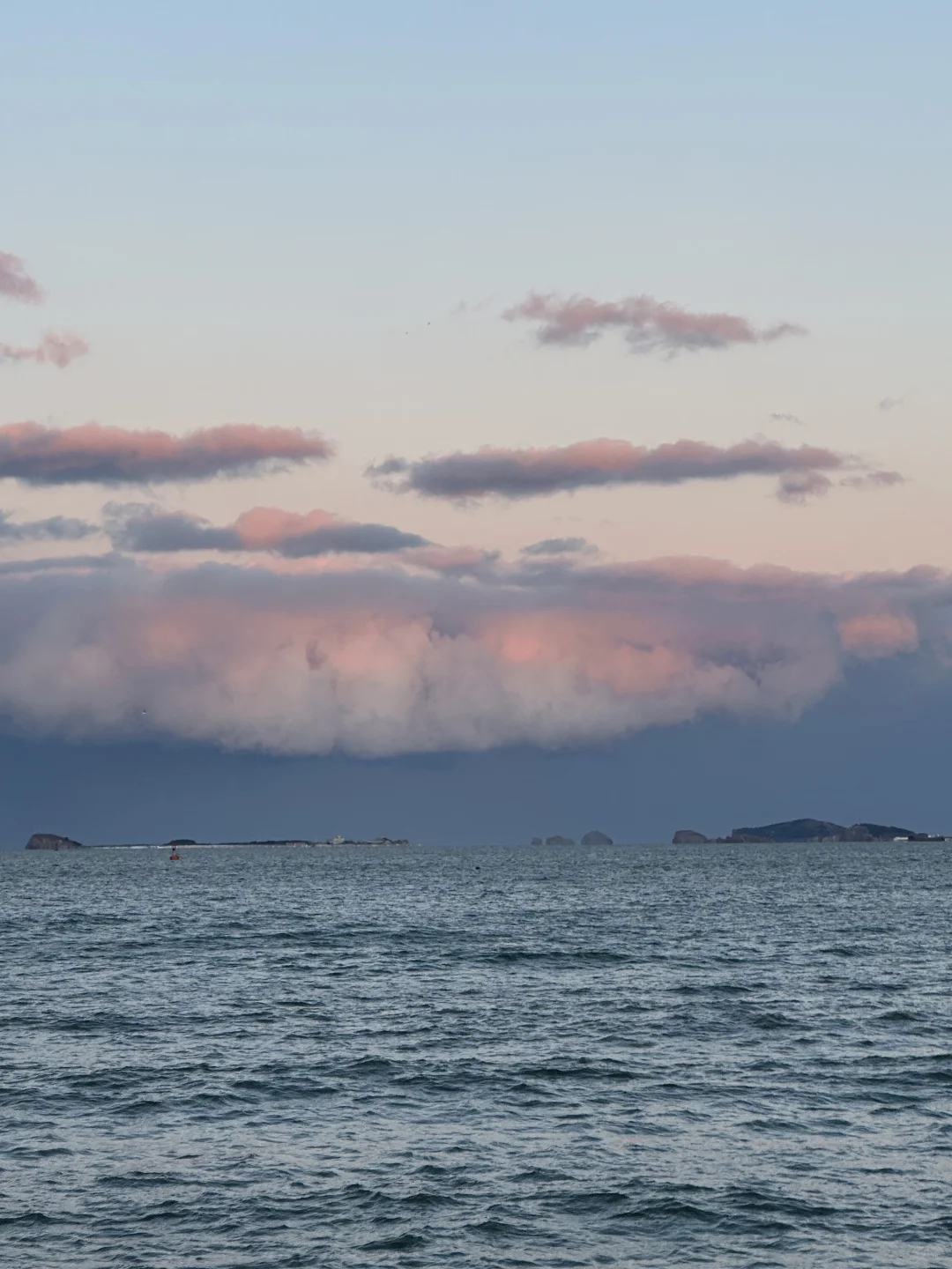 我想我会反复爱上烟台的冬天。。。。。