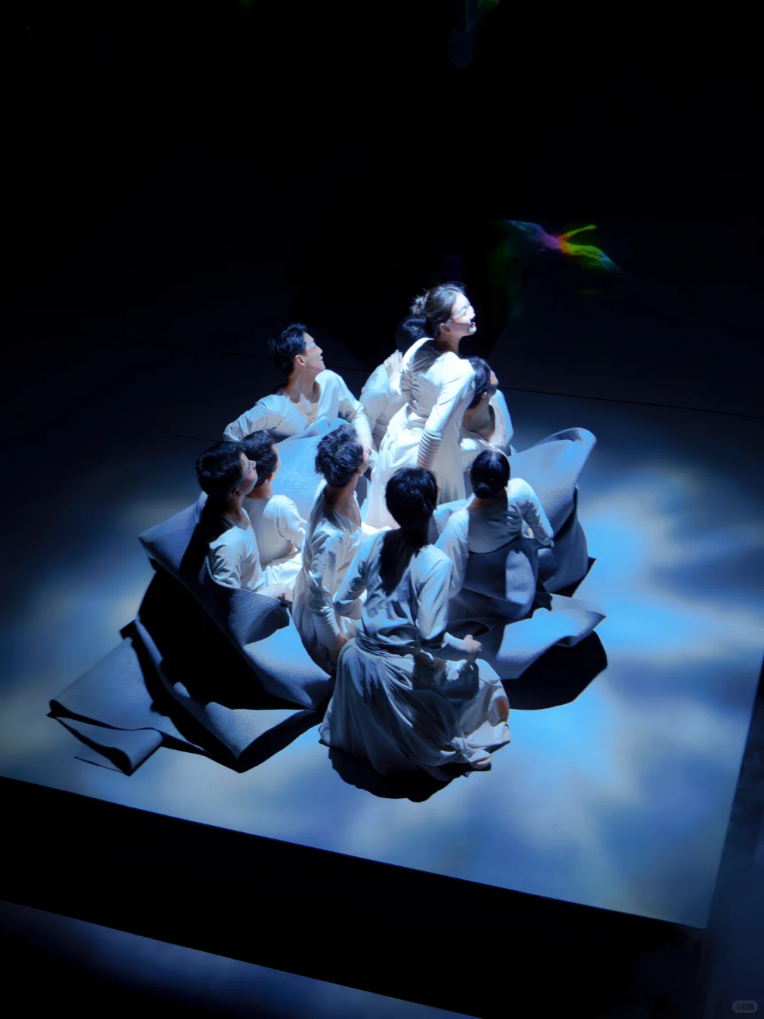 济南/在这里体验🪭宋式美学！🎐