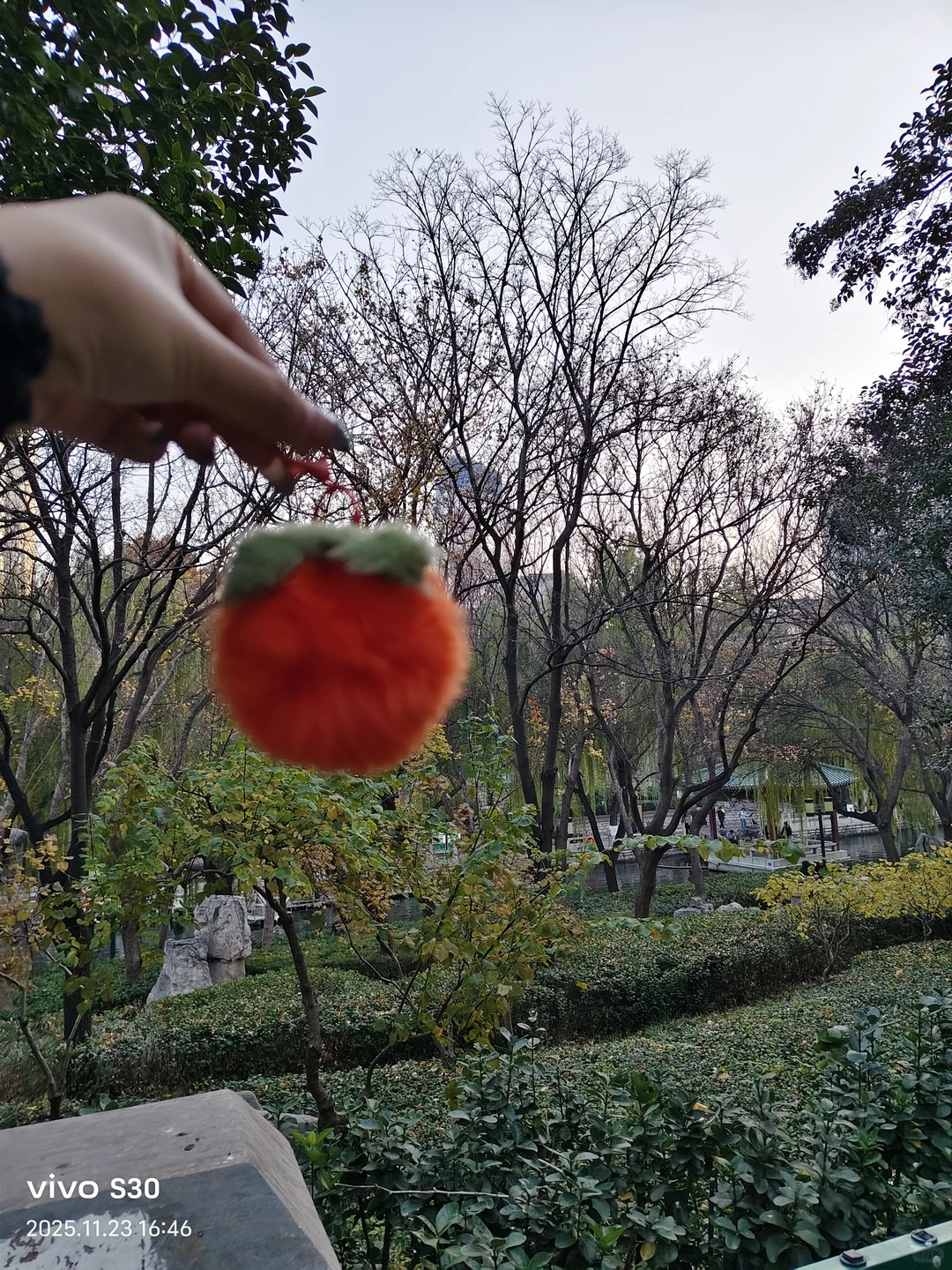 “济南的冬天是响晴的”