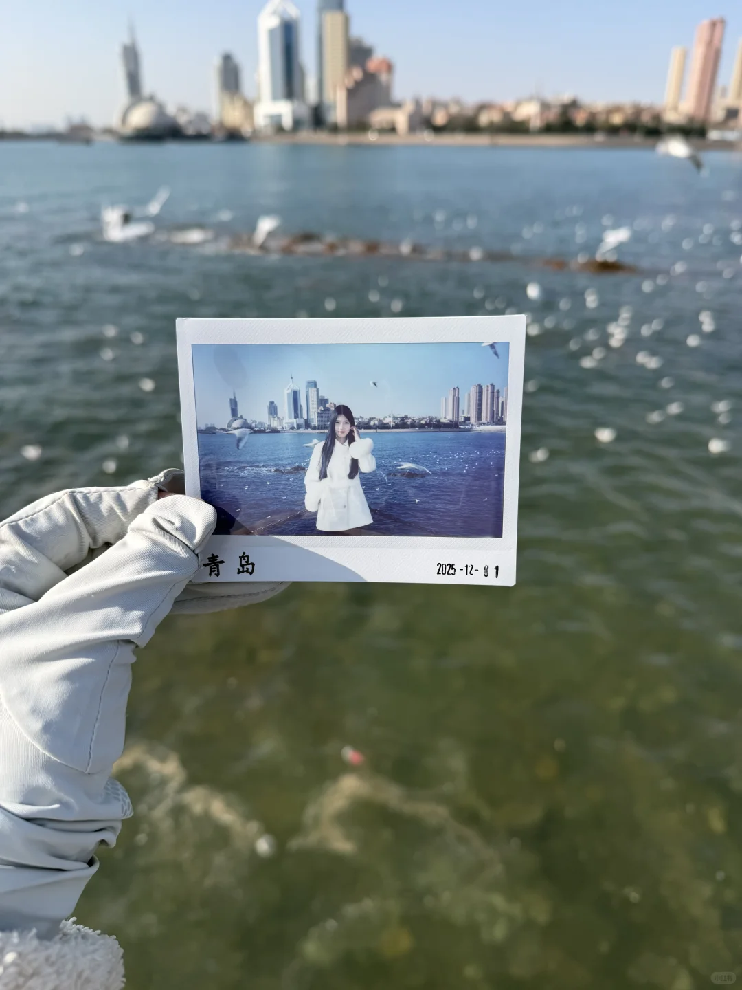12.04青岛栈桥拍照📸注意饼饼背包‼️粉丝送