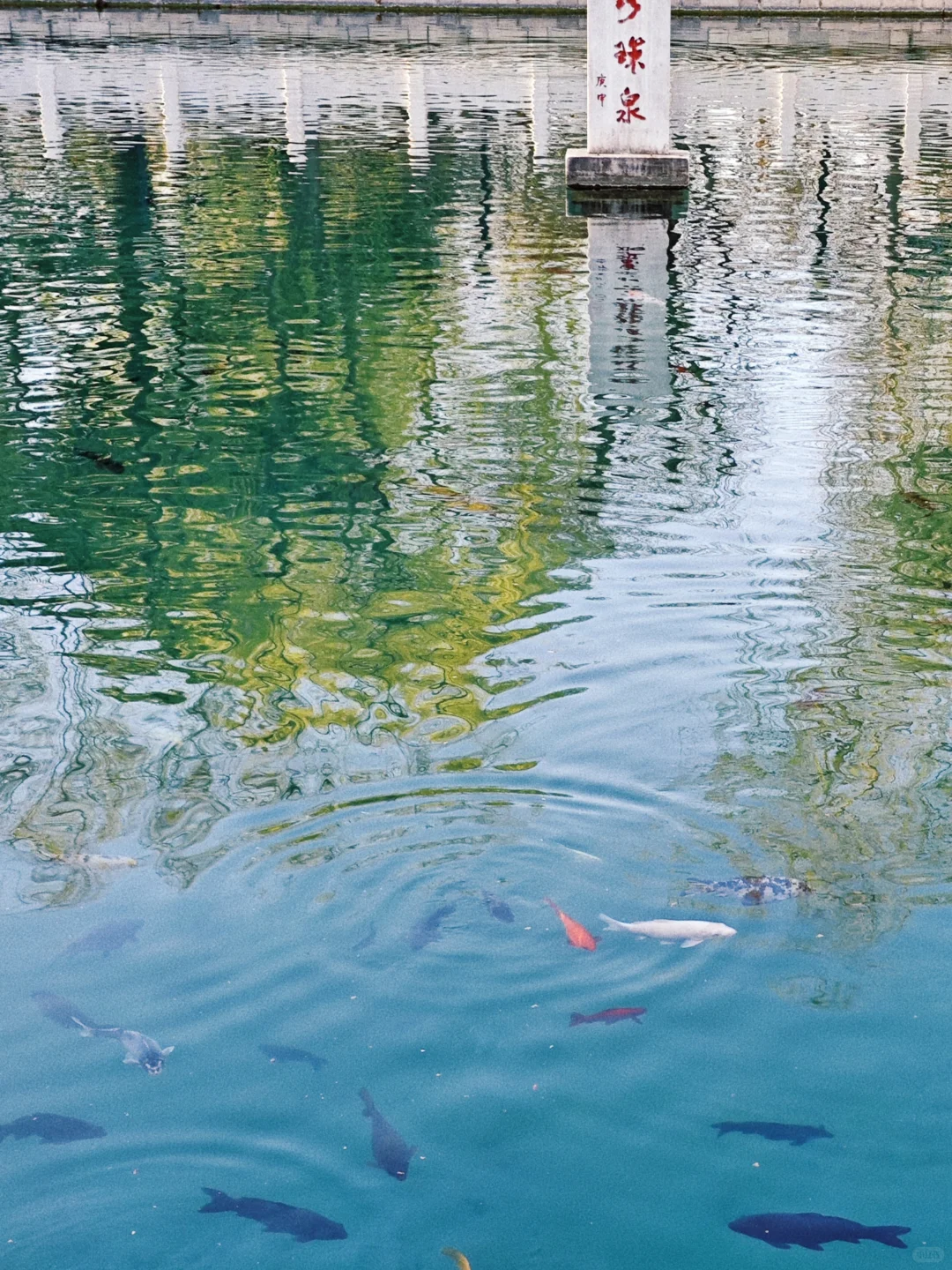 济南20个必逛景区！全部免费！！