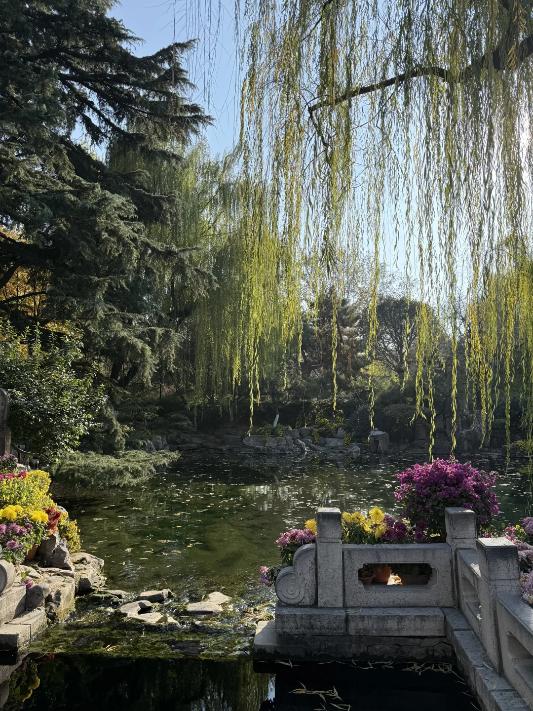 济南美的不需要滤镜